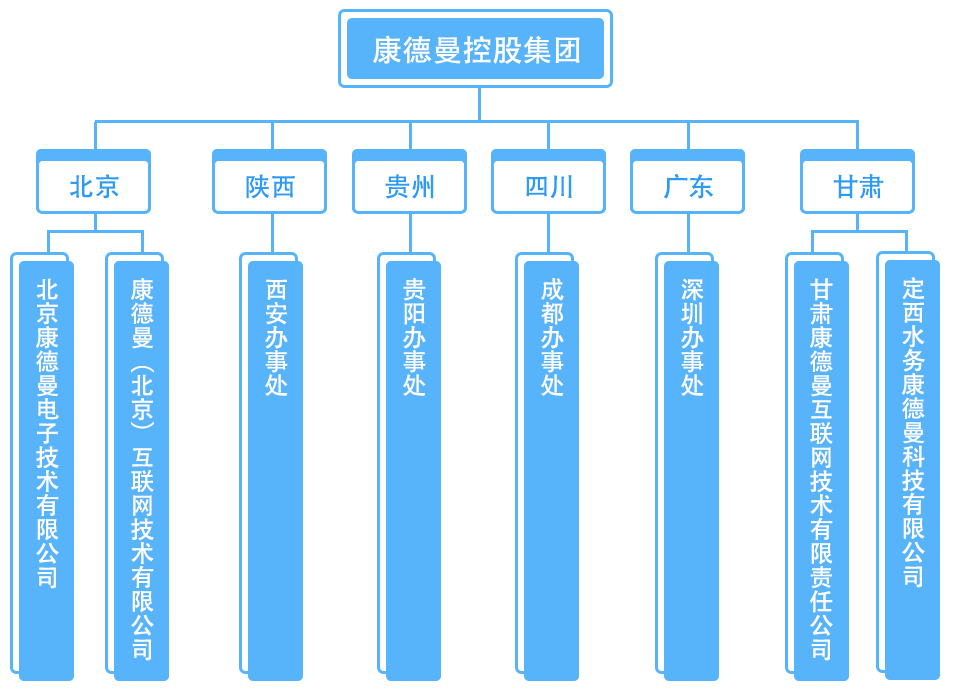 康德曼控股組織框架